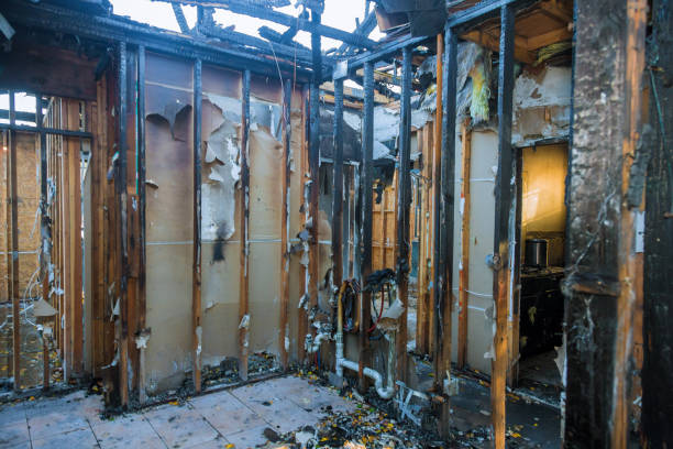 Professional Fire Damage Removal technician working in Mississippi, MS